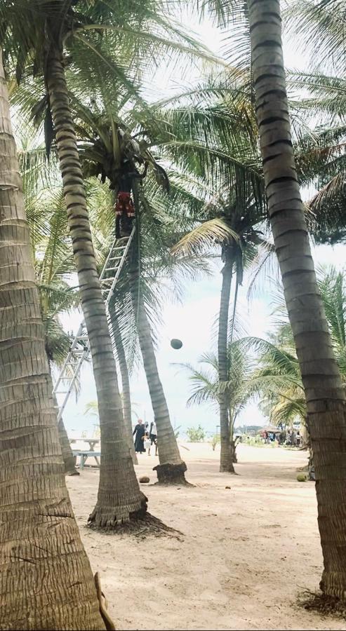 Jungle Beach Resort Sanyang Exteriér fotografie